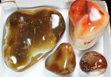 Lot: lbs Colorful, Polished Carnelian Agate - Pieces #91850-2